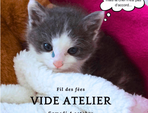 Un rendez-vous exceptionnel à l’atelier Fil des fées